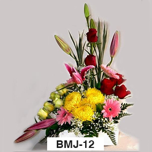 BMJ12