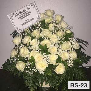 BS23