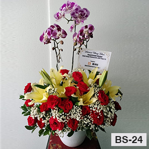 BS24
