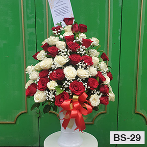BS29