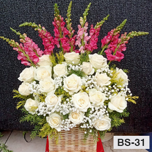 BS31