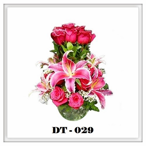 DT29