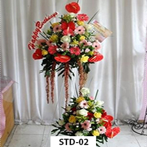 STD-02