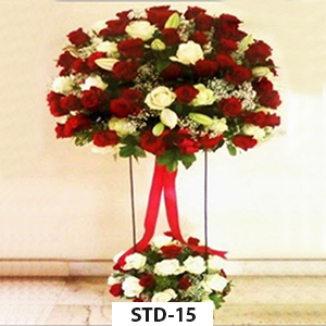 STD-15