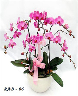 Toko Bunga PIK